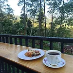 Welirang Forest Pacet