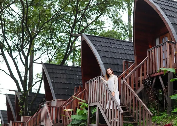 Welirang Forest Pacet